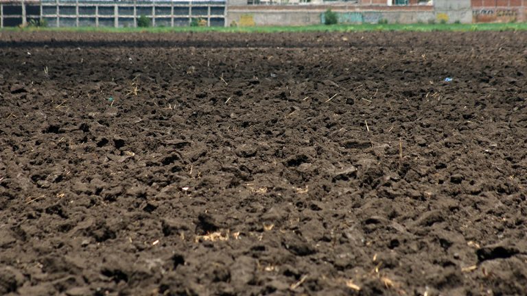 Permanece el estado de sequía: CONAGUA
