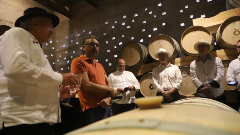 Estudiantes aprenden de vinos guanajuatenses