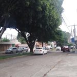 PANORAMA (1)