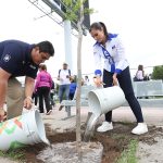 arboles