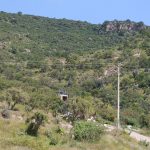 municipio