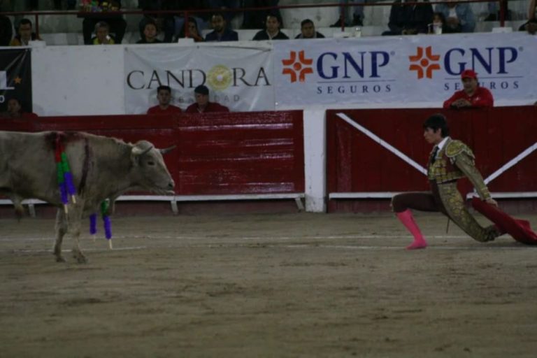 Disputan segunda novillada Disputan segunda novillada