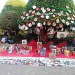 DESAPARECIDOS (1)