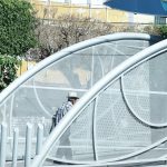 ADULTOS TRANSPORTE (5)