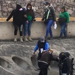 CELULA BUSQUEDA (2)