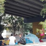 MIGRANTES (3)