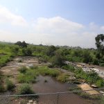PREPA (TERRENOS) (2)