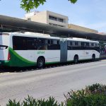 TRANSPORTE FERIA (2)