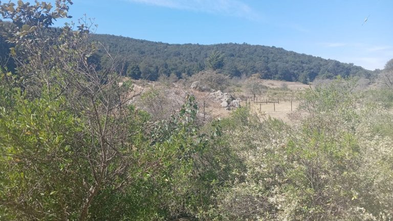 Amplían ANP Cuenca la Esperanza