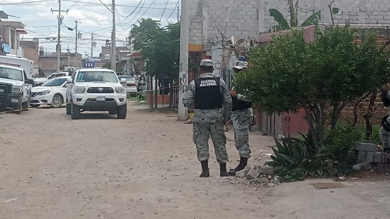 En bolsas negras