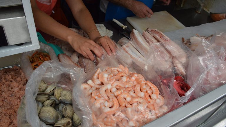 Se preparan para una Cuaresma con sanidad