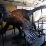 DINOSAURIOS (3)