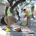 SIL CAPACITACION (2)