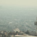 LEON CONTAMINANTES (2)