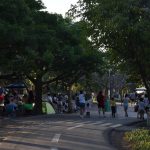 METROPOLITANO (2)