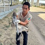 RESCATE ZOO (2)