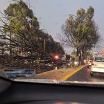 21 05 25 OCM POLI LLUVIA (4)