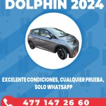 DOLPHIN-2024