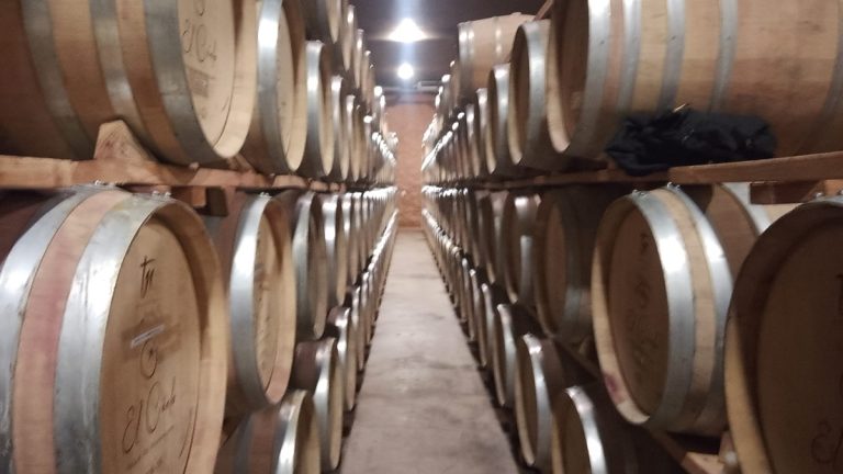 ¡Salud por el vino guanajuatense!