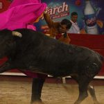 El torero de dinastía Diego Silveti (1)