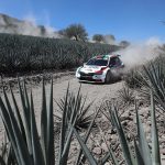 RALLY (5)