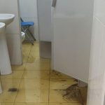 SABOTAJE