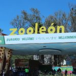 ZOOLEON (14)