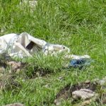 26 06 25 OCM POLI HALLAZGO (1)