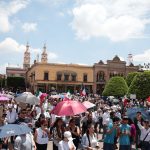 NO VOTO (3)