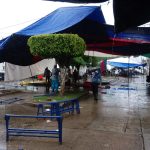 TIANGUIS SOLO (5)