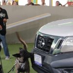 UNIDAD CANINA (5)