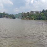 19 07 2025 OGL REG GTO PLUVIAL (2)