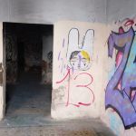 CASAS ABANDONADAS (1)