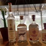 EXPORTAN MEZCALES