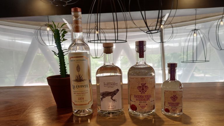 Crece mezcal guanajuatense