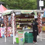 FESTIVAL DE VERANO (8)