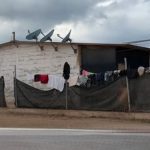 LIBIA (DOLORES (JORNALEROS) (4)