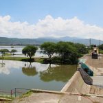 METROPOLITANO (PRESA DEL PALOTE) (10)
