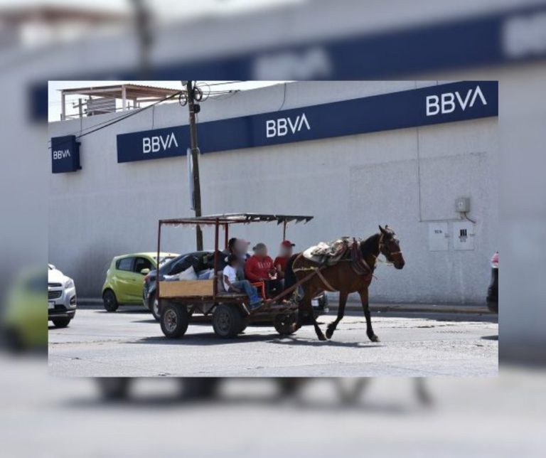 Cambian 30 caballos de carga por motos y herramientas productivas