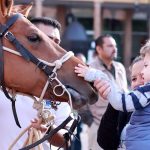EQUINOTERAPIA