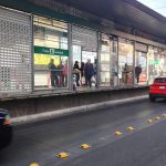 ESTORBOS
