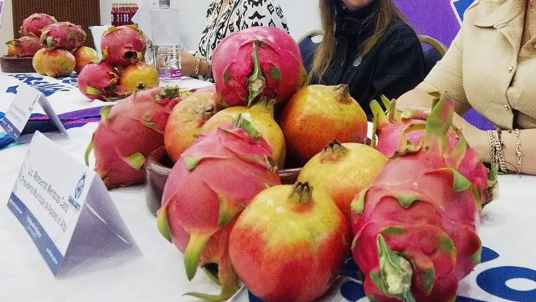 Llevan granada y pitahaya a mercados internacionales