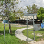 NUEVA (3)