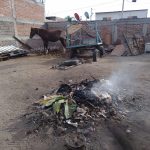 POBREZA EXTREMA (2)