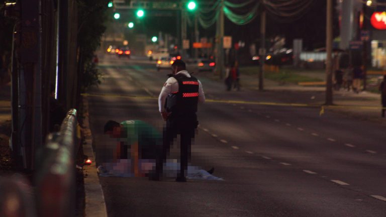 Activistas denuncian crisis de seguridad vial