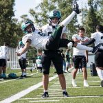 13 09 2025 FG DEP CACHORROS (1) – copia