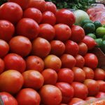 ALIMENTOS- Llamada 4