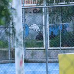 EJECUTADO – copia