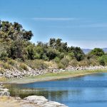 PRESA DE ECHEVESTE (5)
