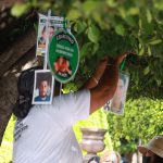 ÁRBOL (2)